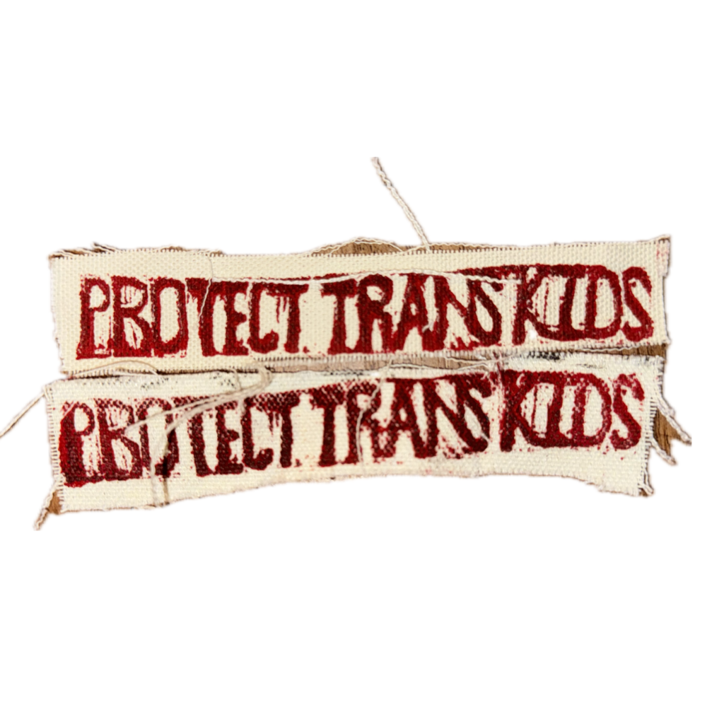 Protect Trans Kids Tiny