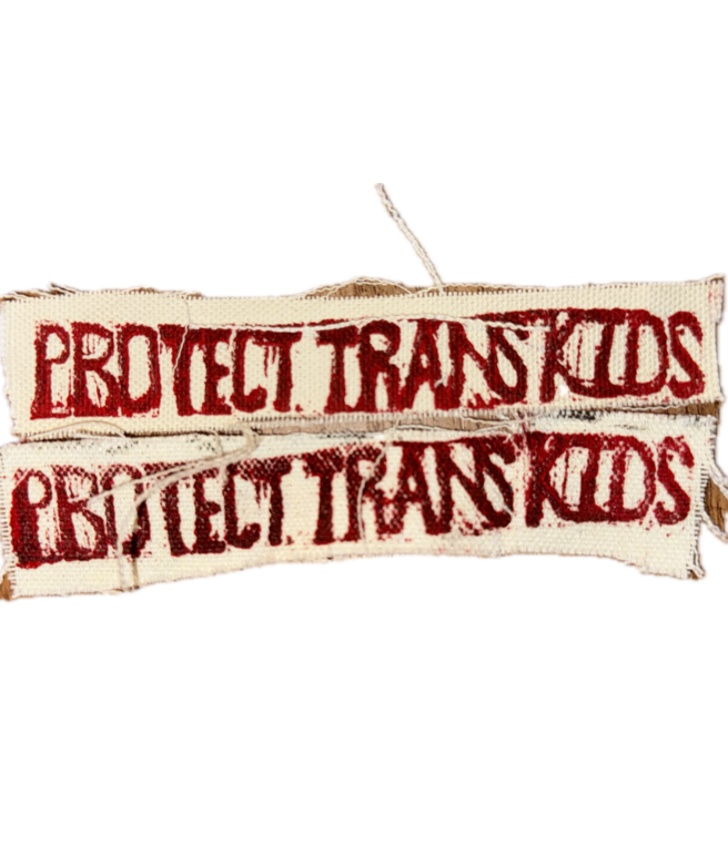 Protect Trans Kids Tiny