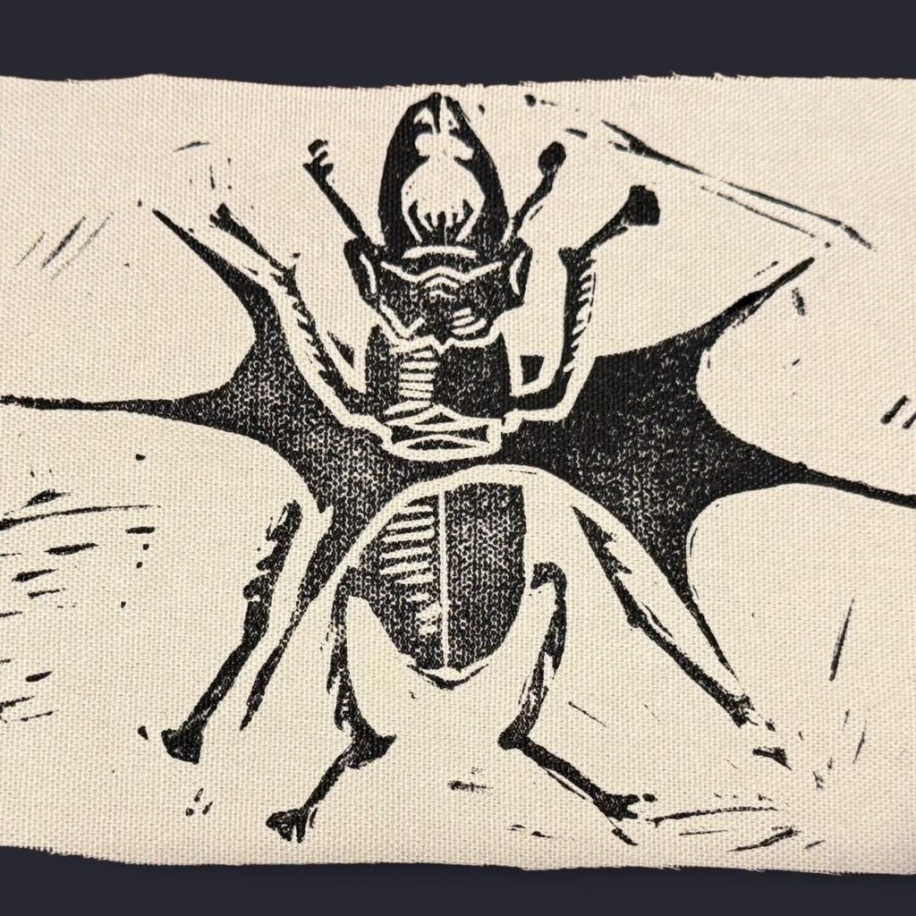 Stag Beetle