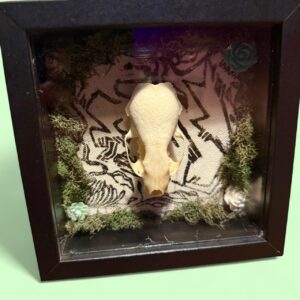 Mink Shadowboxes