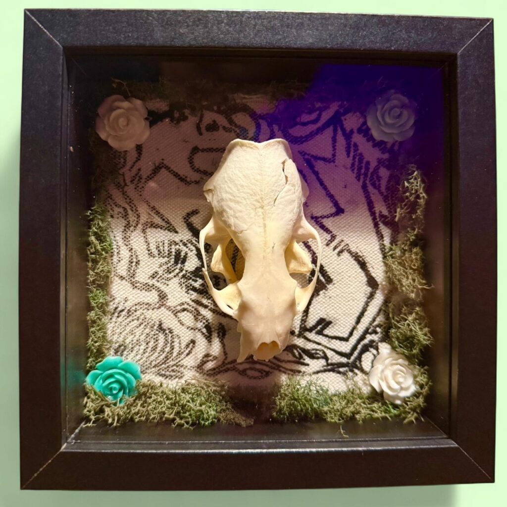 Mink Shadowboxes