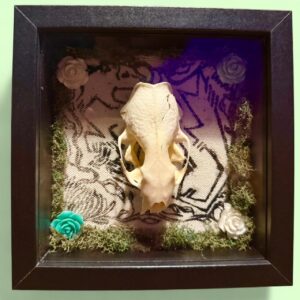 Mink Shadowboxes
