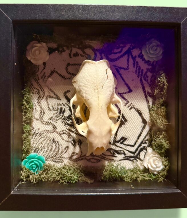 Mink Shadowboxes