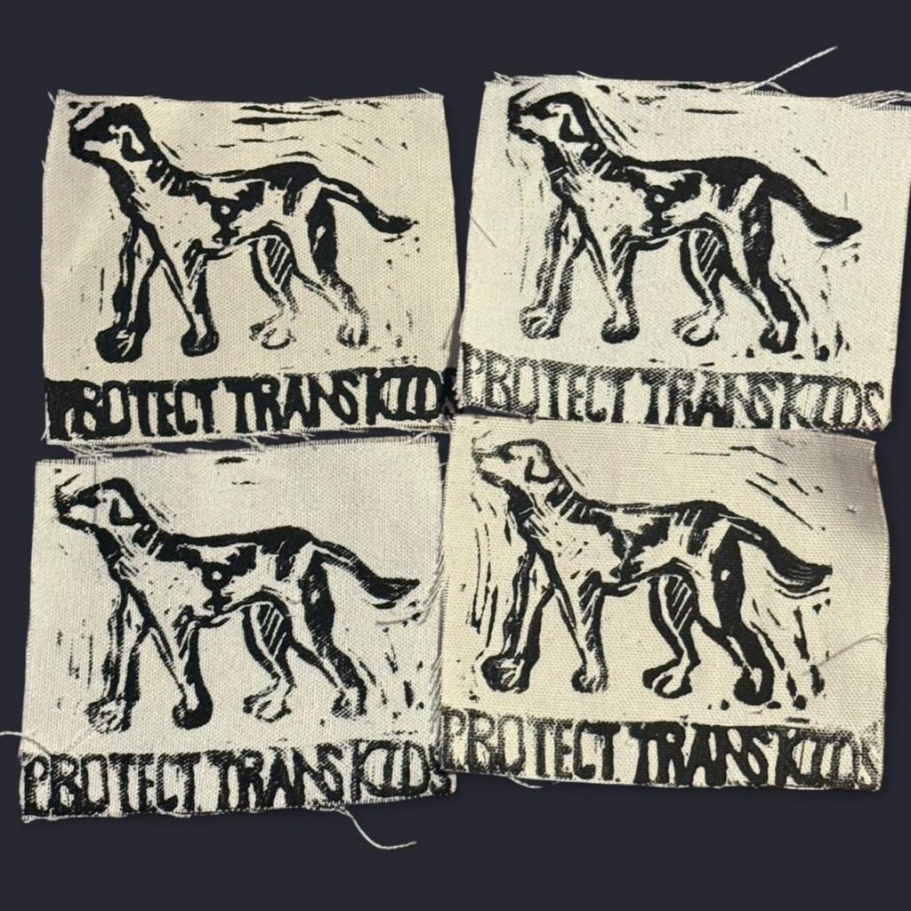 Protect Trans Kids patch