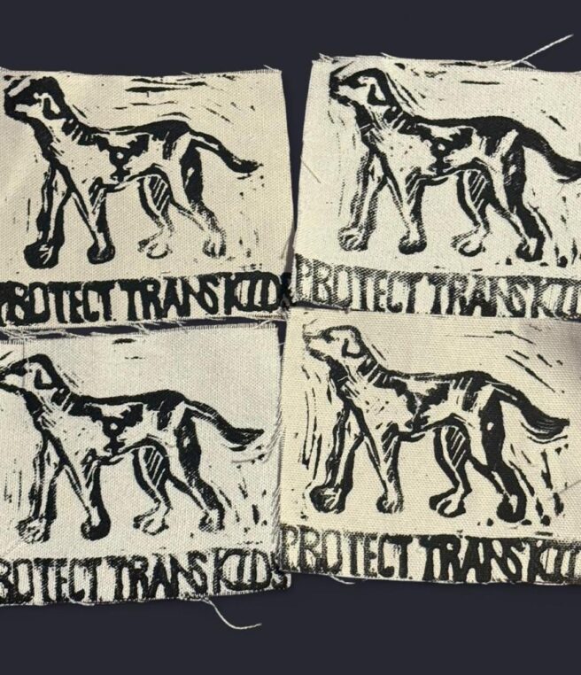 Protect Trans Kids patch