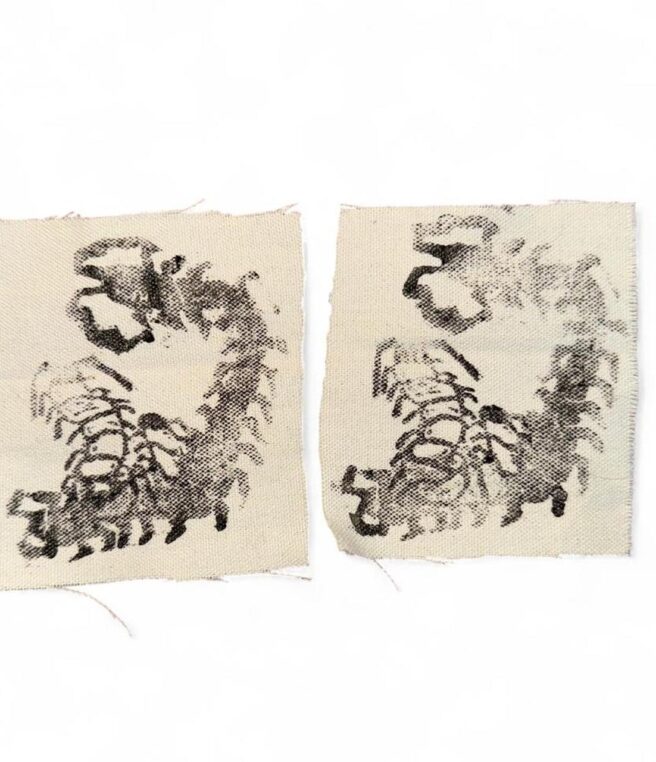 Momma Centipede